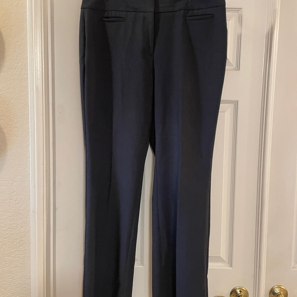 Ann Taylor Navy Women's Trousers